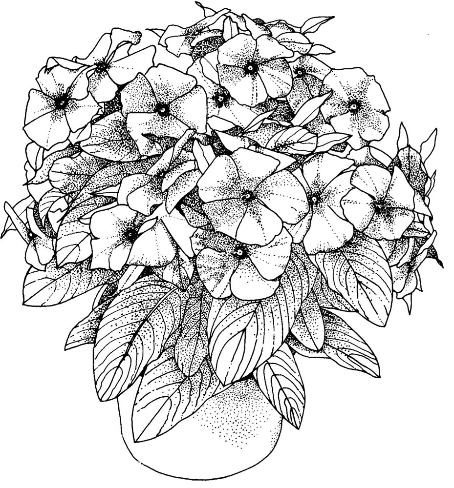 Floral Coloring Pages Simple 126