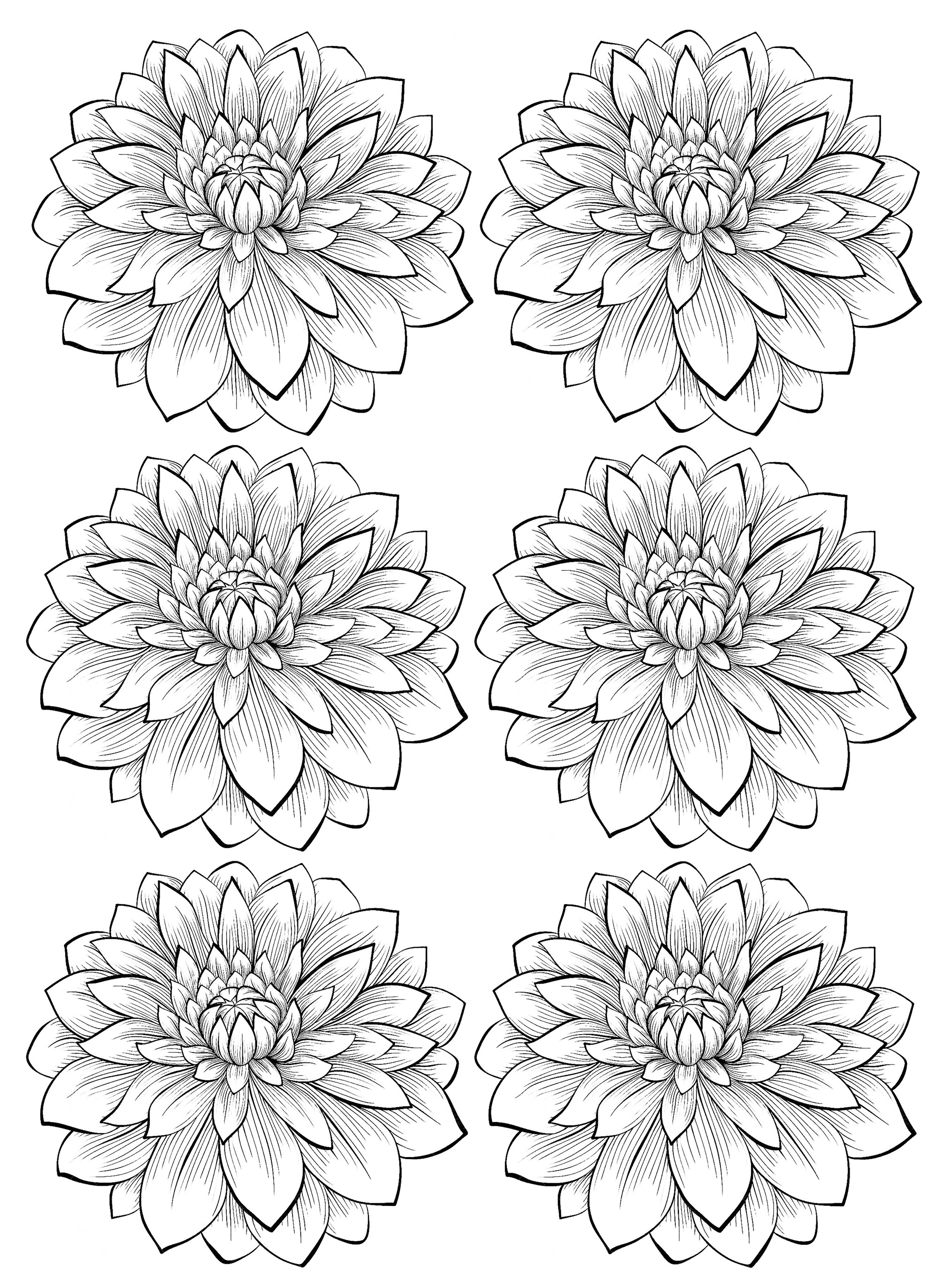 Floral Coloring Pages Simple 134