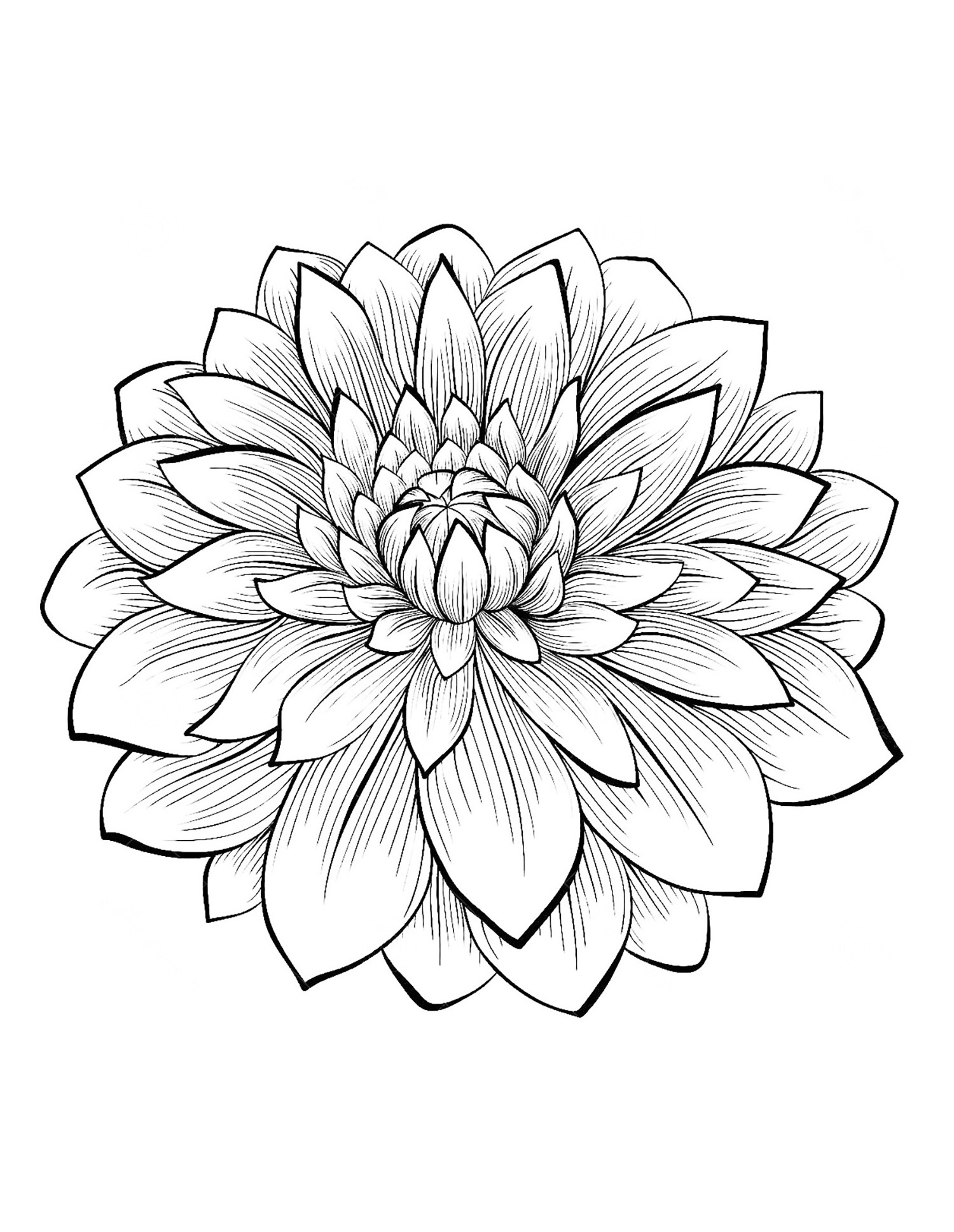 Floral Coloring Pages Simple 138