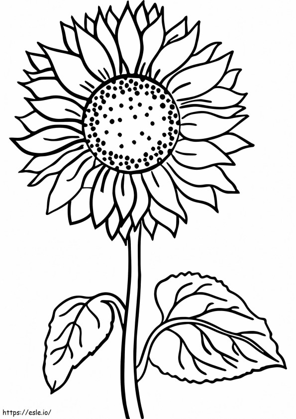 Floral Coloring Pages Simple 150