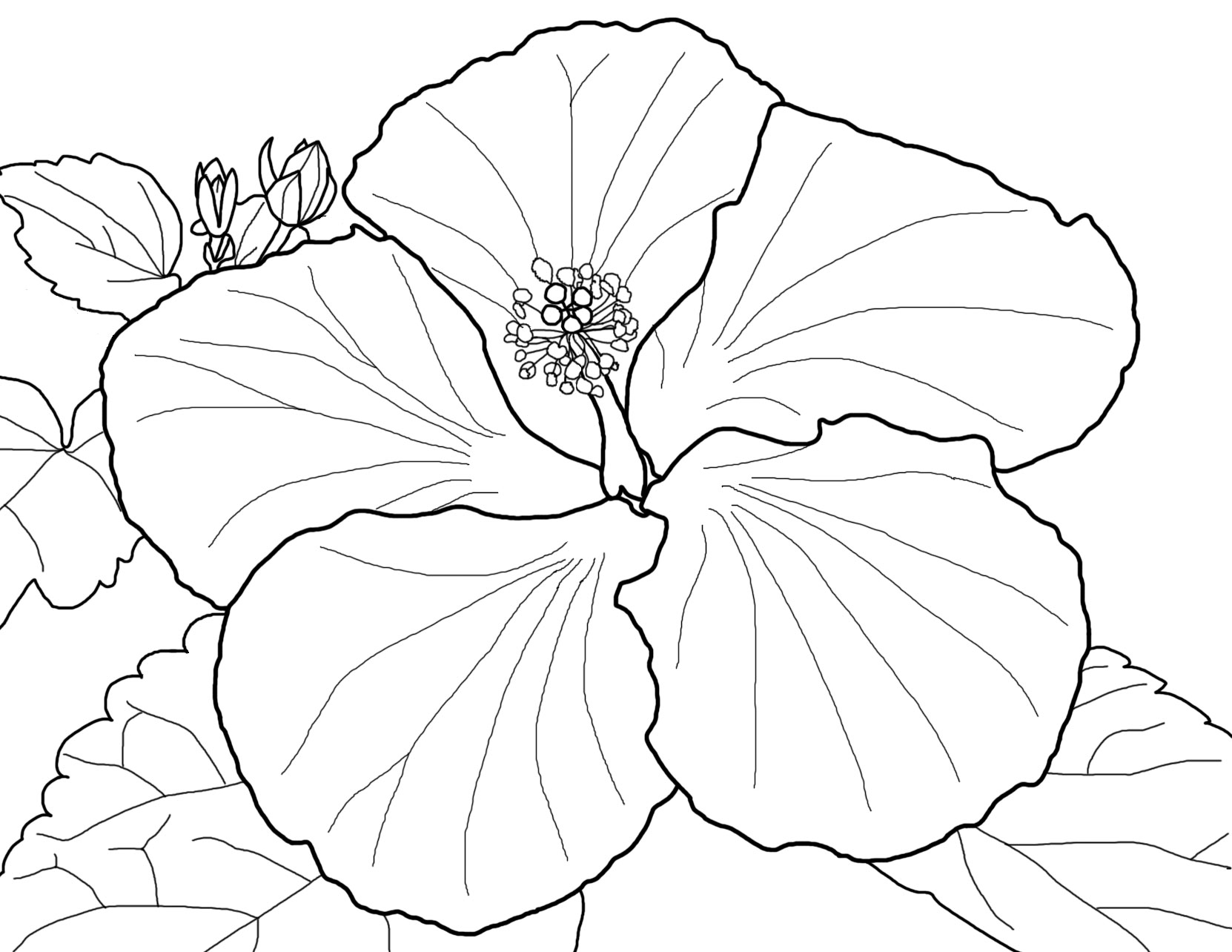 Floral Coloring Pages Simple 169