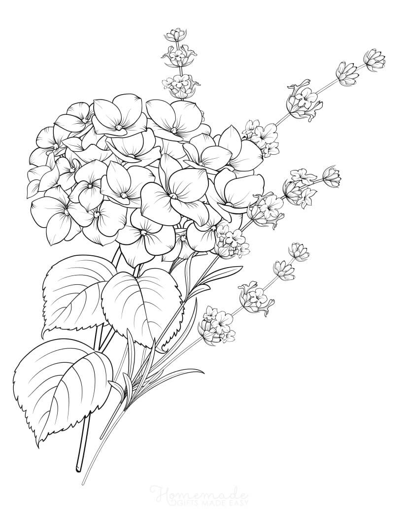 Floral Coloring Pages Simple 174