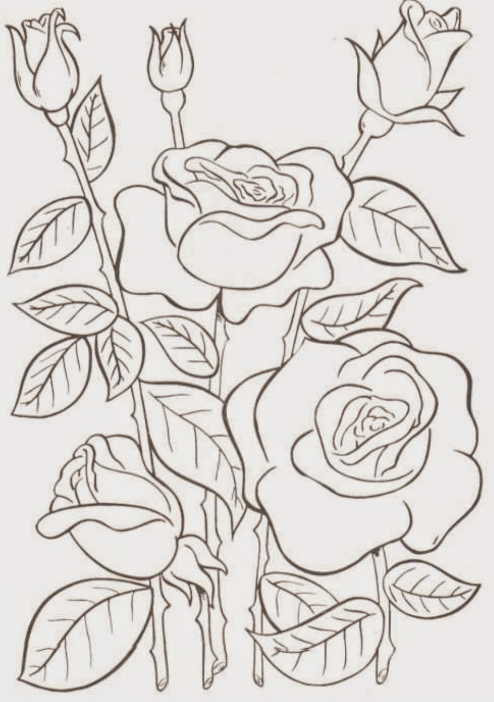 Floral Coloring Pages Simple 179