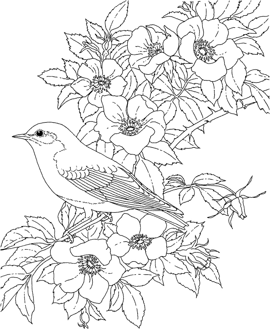 Floral Coloring Pages Simple 187