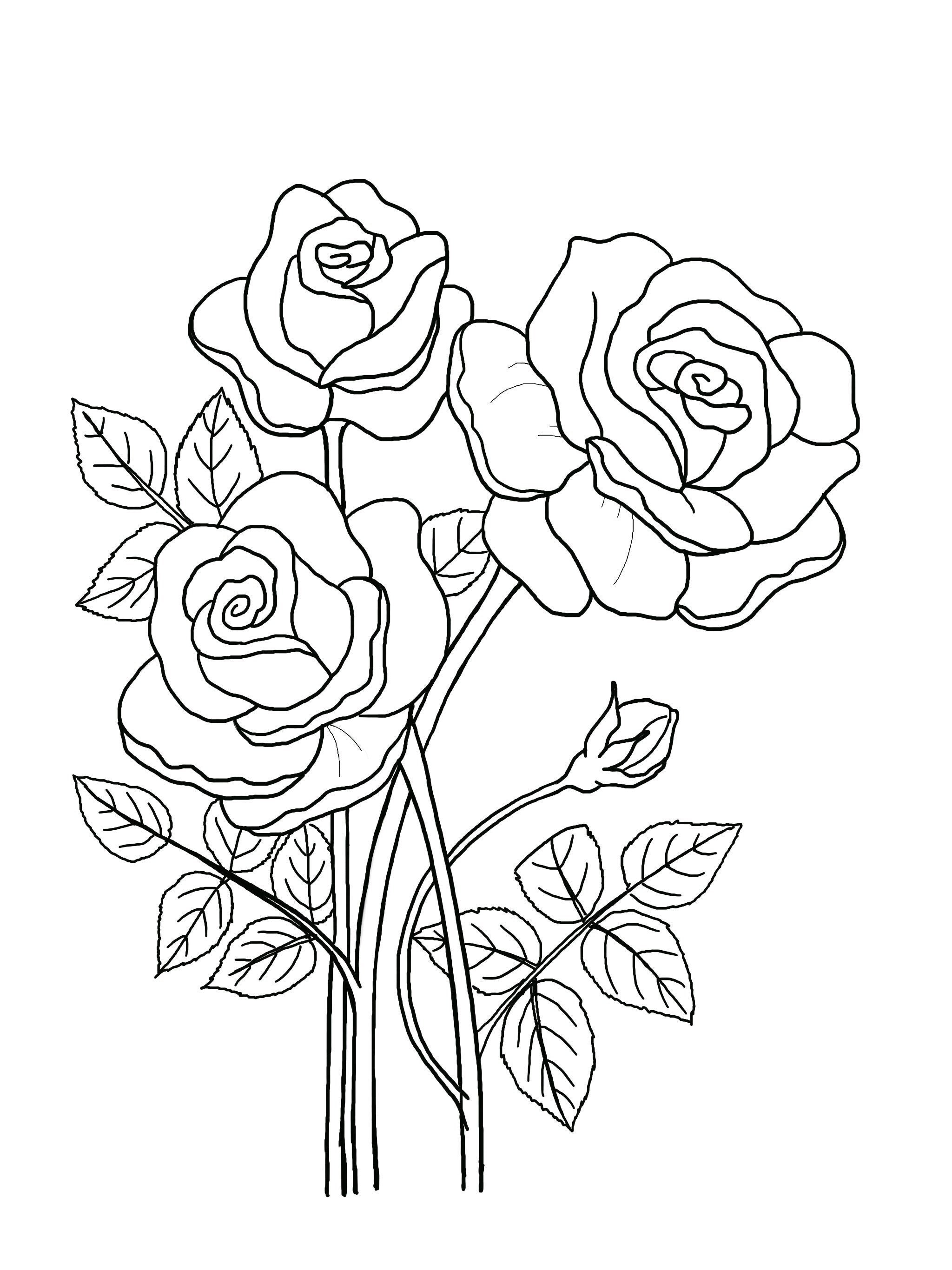 Floral Coloring Pages Simple 200