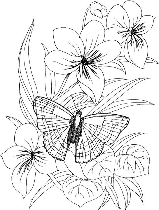 Floral Coloring Pages Simple 3
