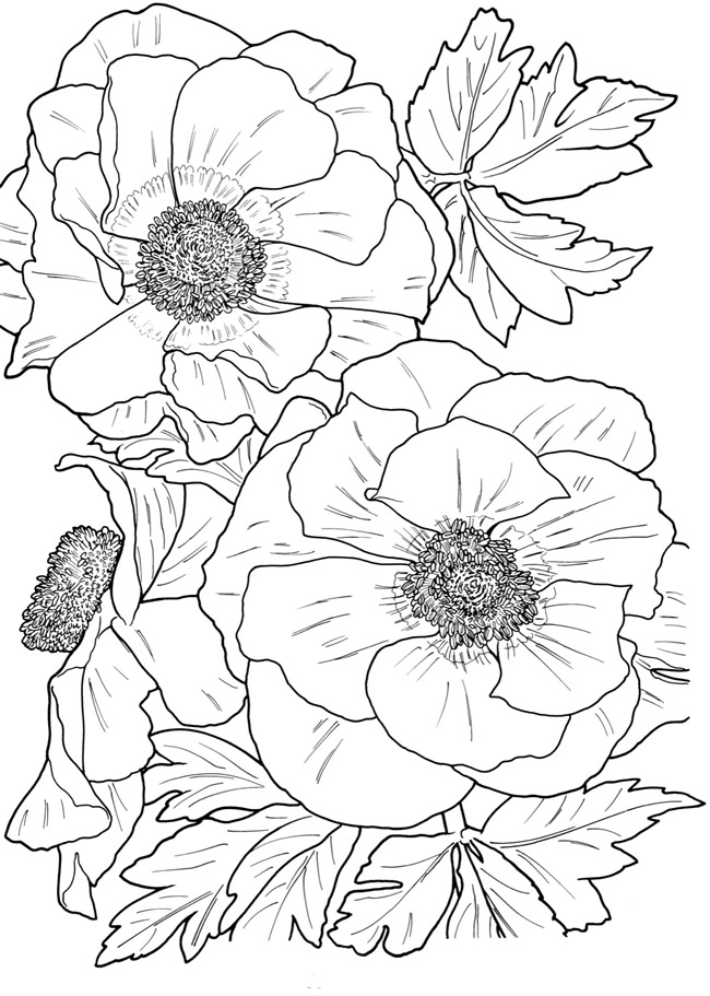 Floral Coloring Pages Simple 36