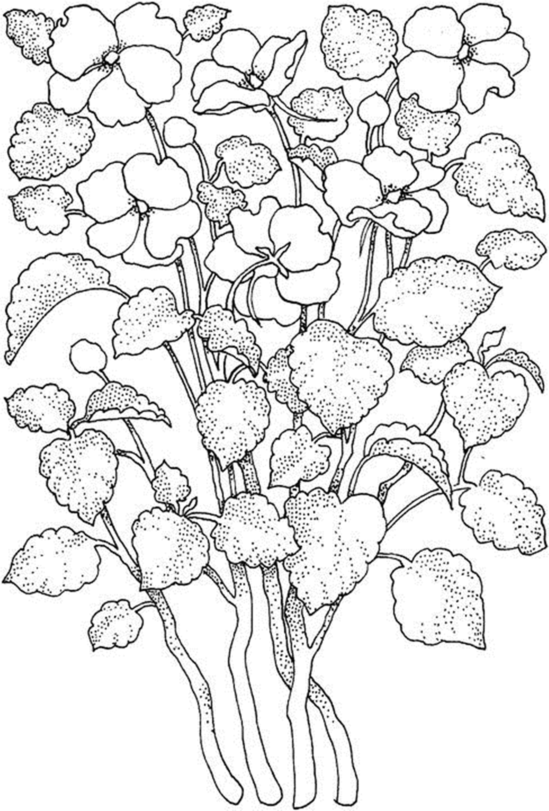 Floral Coloring Pages Simple 37