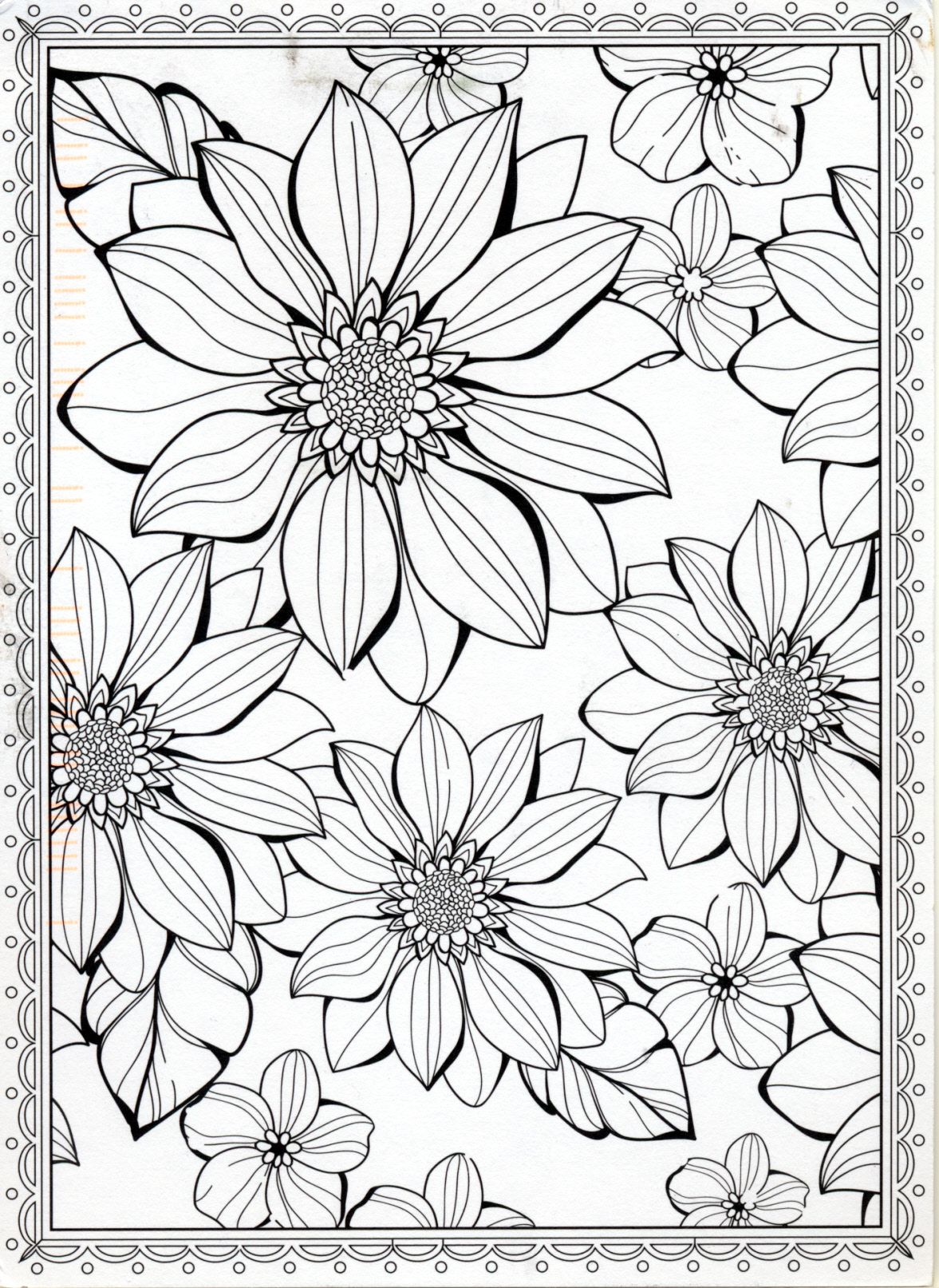 Floral Coloring Pages Simple 67