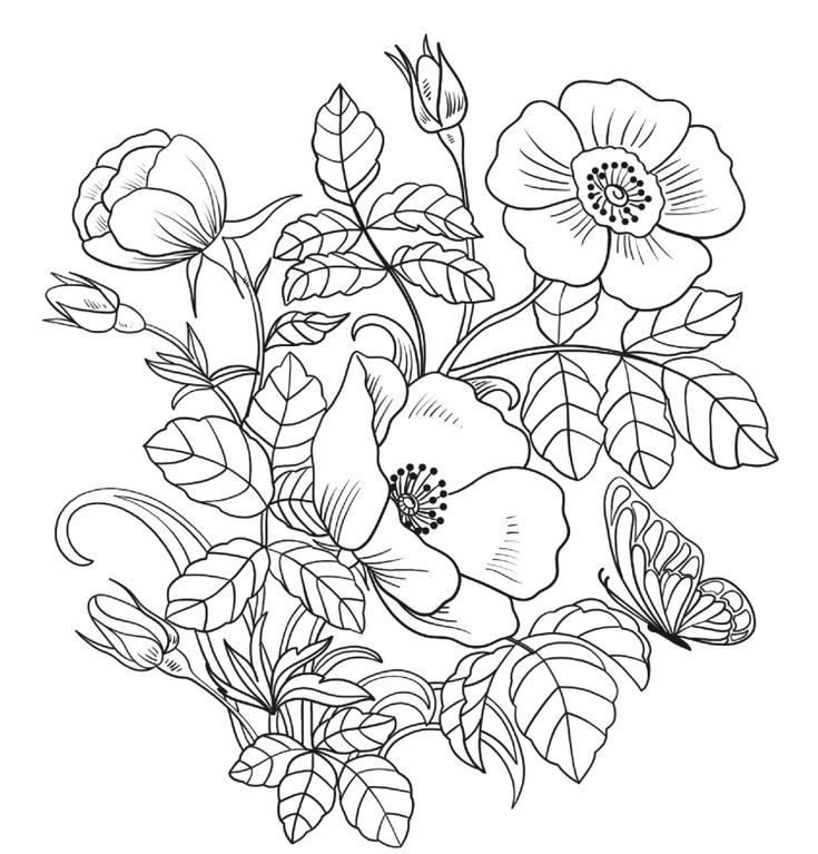 Floral Coloring Pages Simple 71