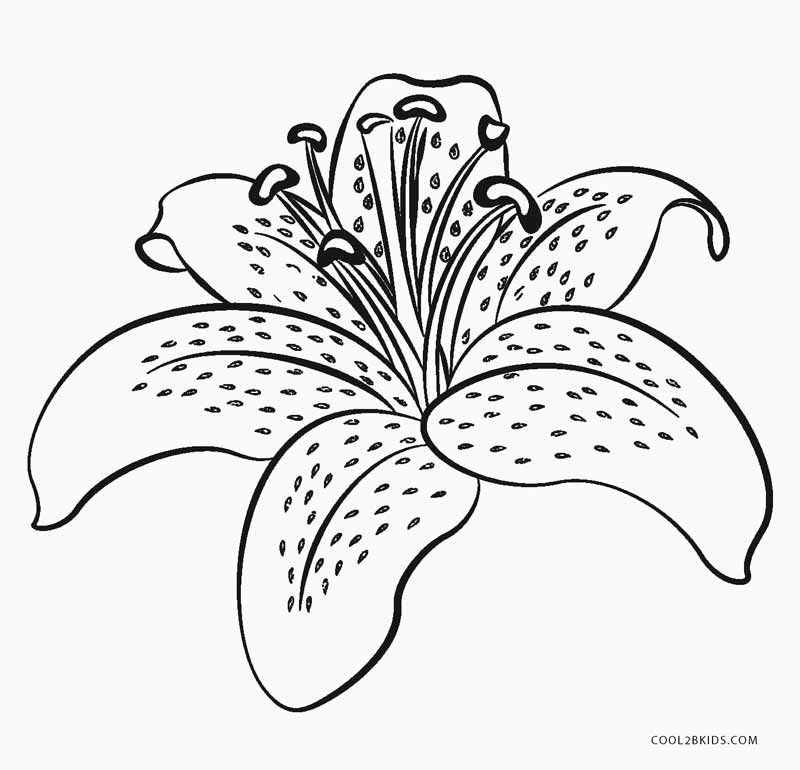 Floral Coloring Pages Simple 80