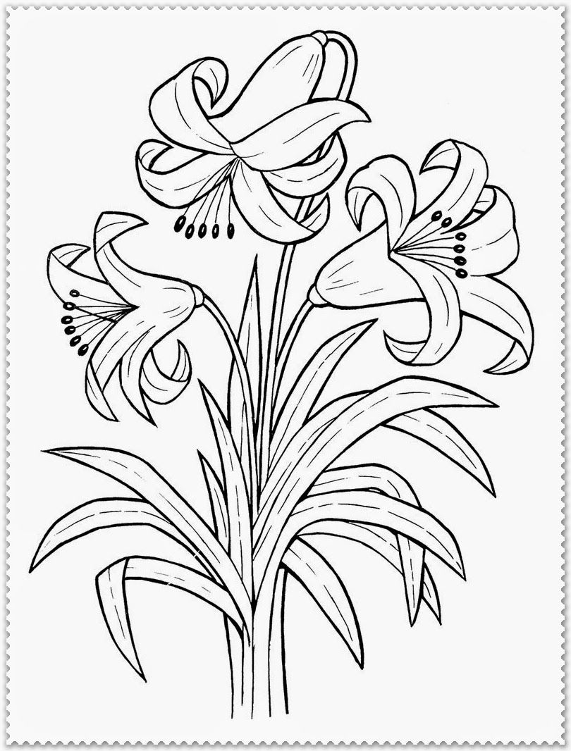 Floral Coloring Pages Simple 82