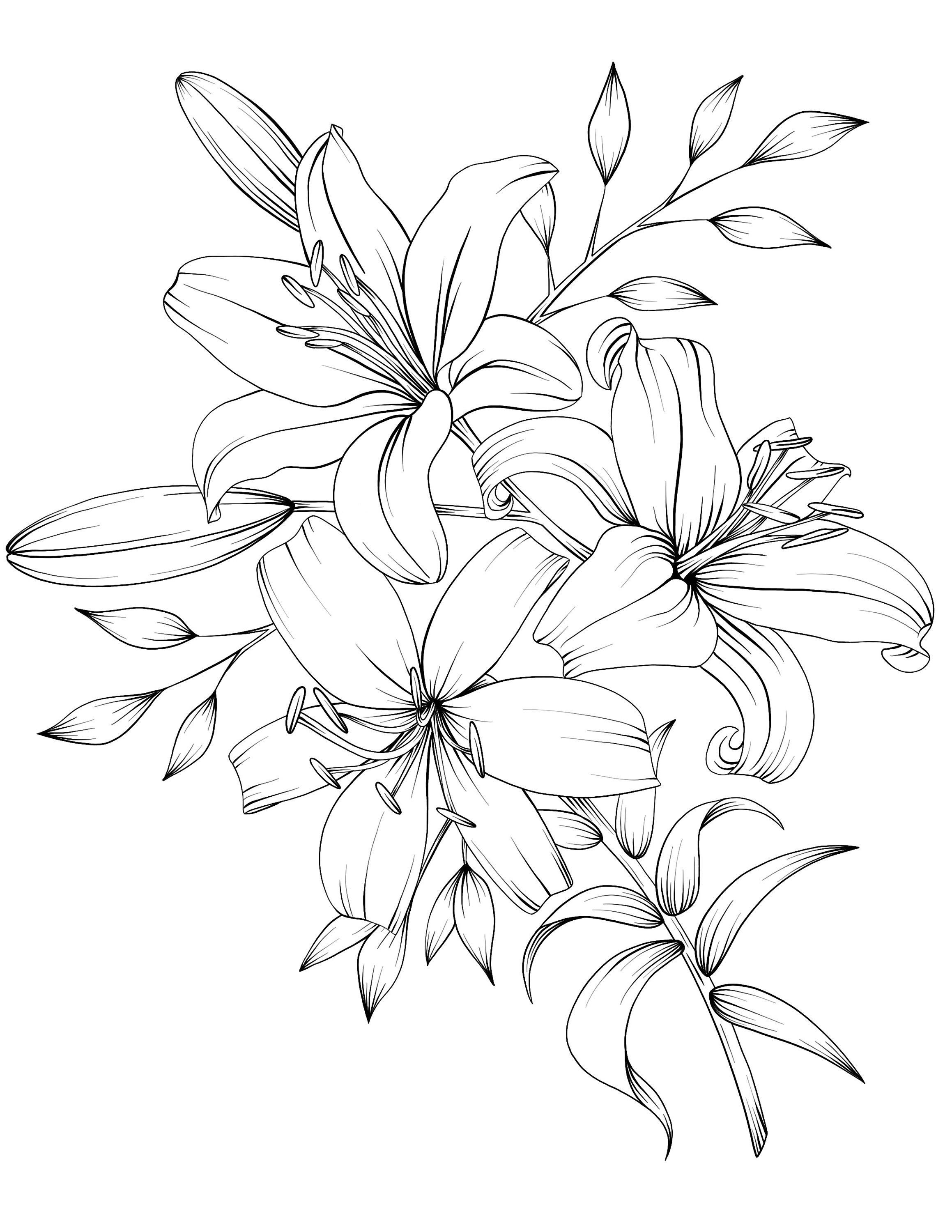 Floral Coloring Pages Simple 83