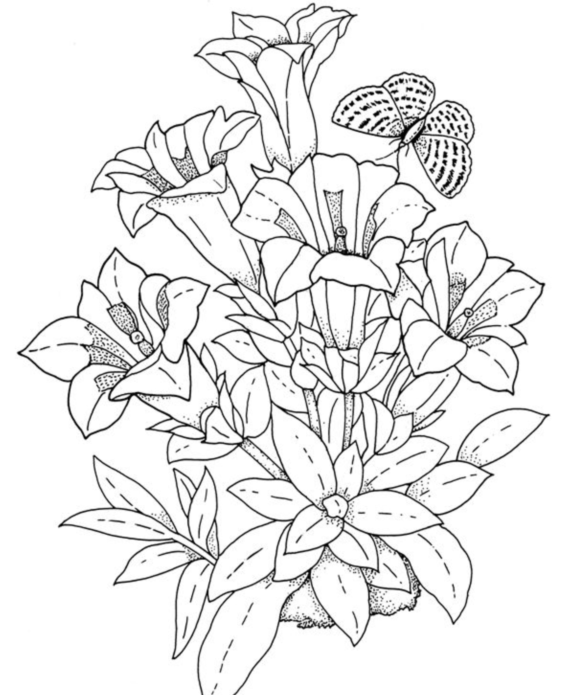 Floral Coloring Pages Simple 97