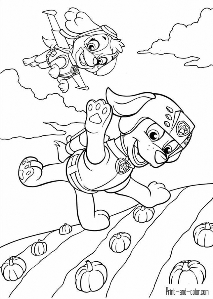 Paw Patrol Coloring Pages FREE Printable 105