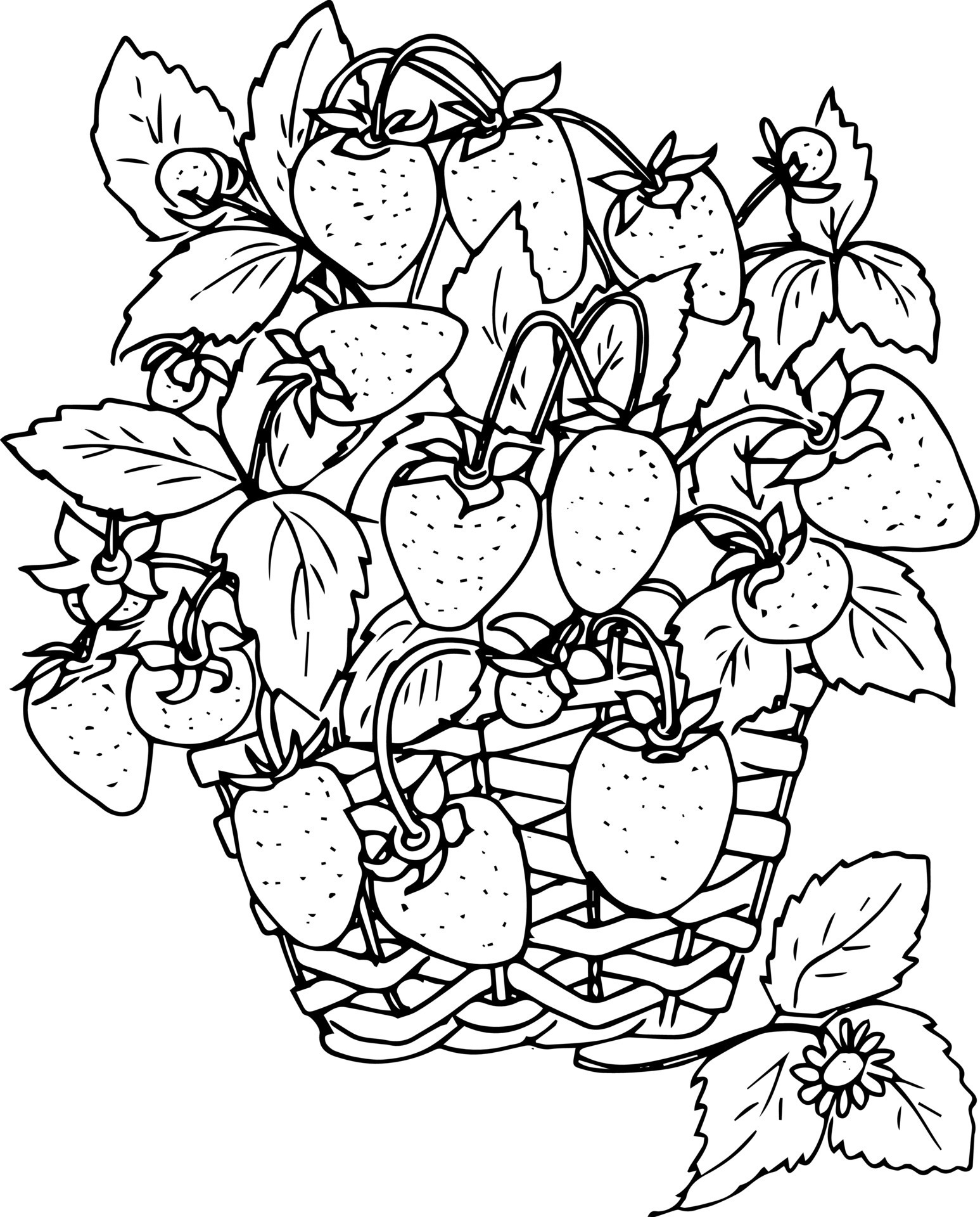 118+ Fruit Baskets Coloring Pages 13