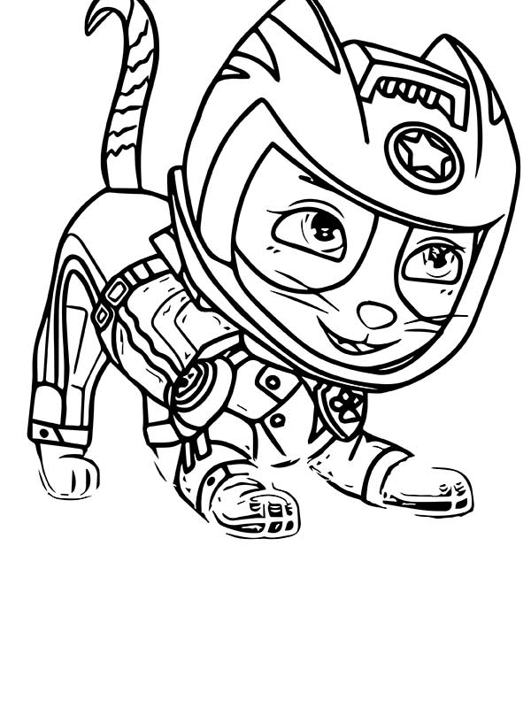 170+ Paw Patrol Coloring Pages for Action-Packed Fun 167