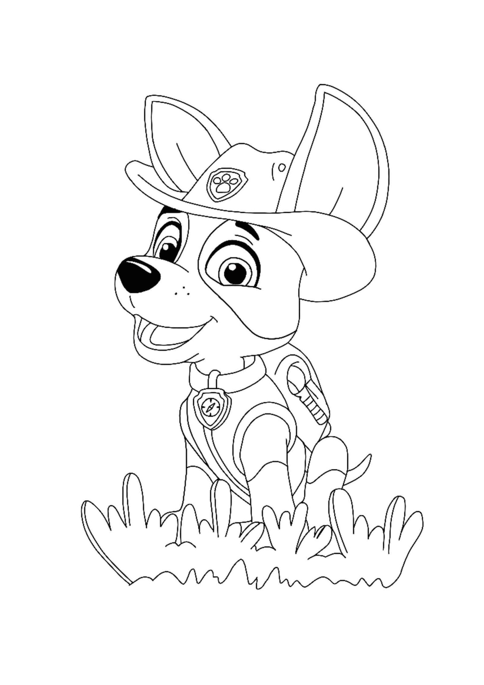 170+ Paw Patrol Coloring Pages for Action-Packed Fun 170