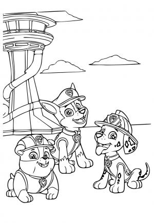 170+ Paw Patrol Coloring Pages for Action-Packed Fun 177