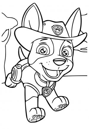 170+ Paw Patrol Coloring Pages for Action-Packed Fun 36