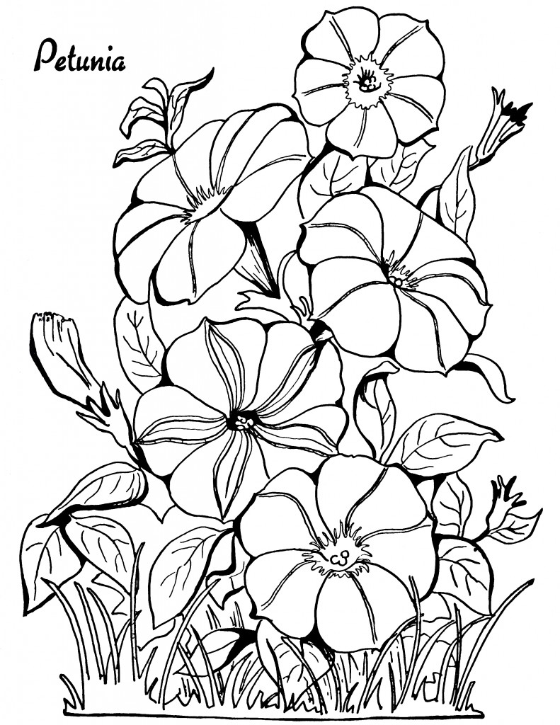 55+ Adult Coloring Pages Finished to Perfection - #7 is Stunning 10