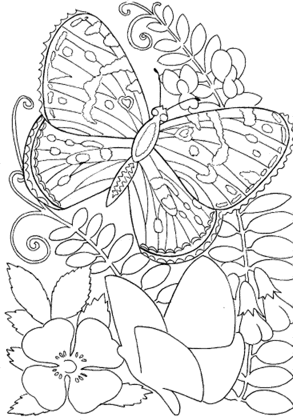 55+ Adult Coloring Pages Finished to Perfection - #7 is Stunning 125