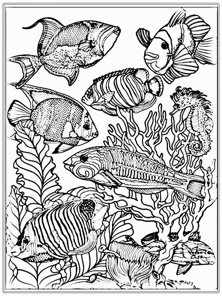 55+ Adult Coloring Pages Finished to Perfection - #7 is Stunning 24