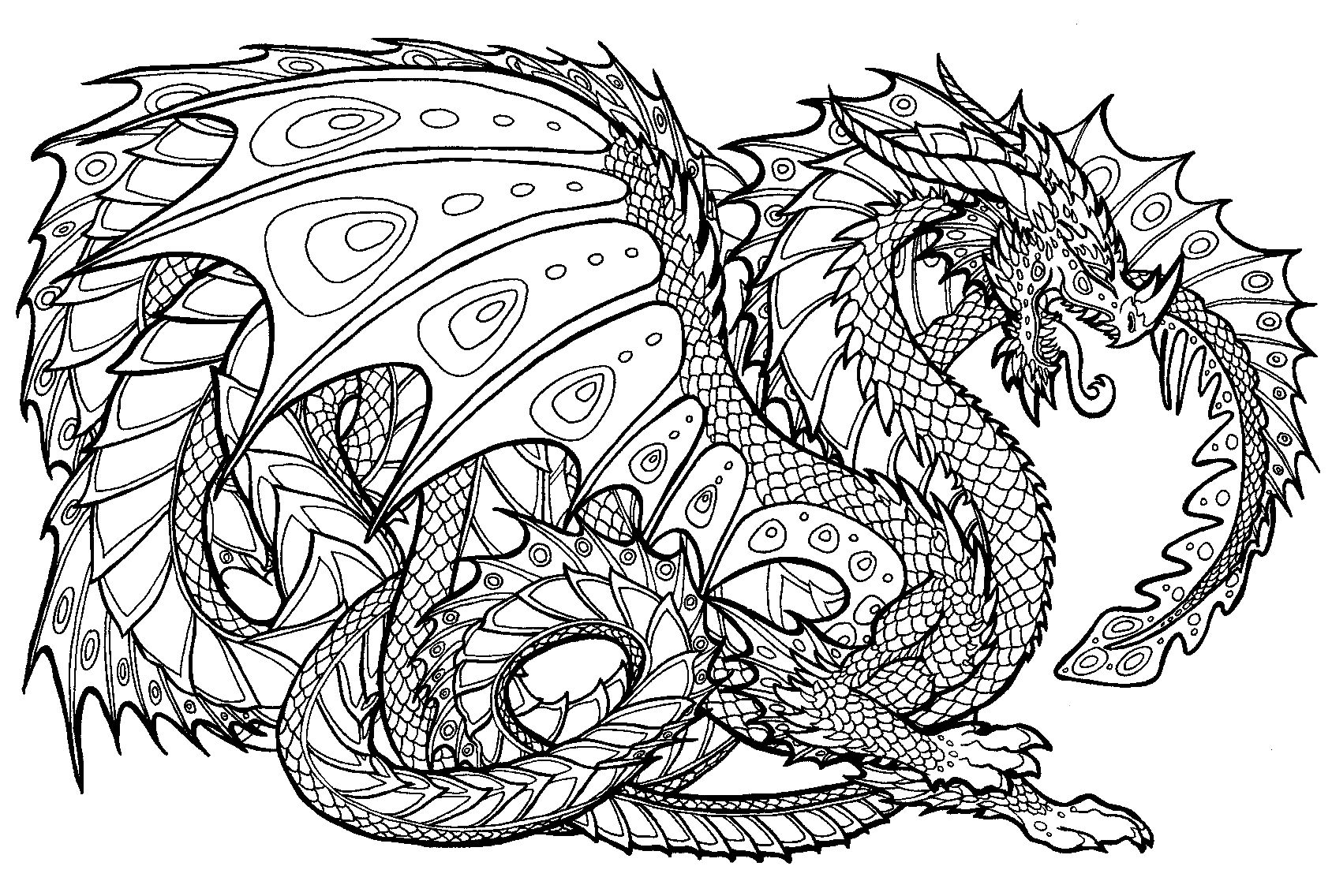 Dragon Coloring Pages for Adults Unique 152