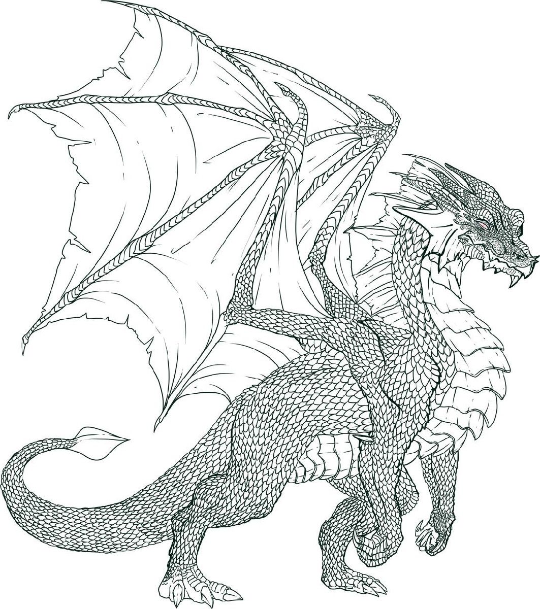 Dragon Coloring Pages for Adults Unique 160