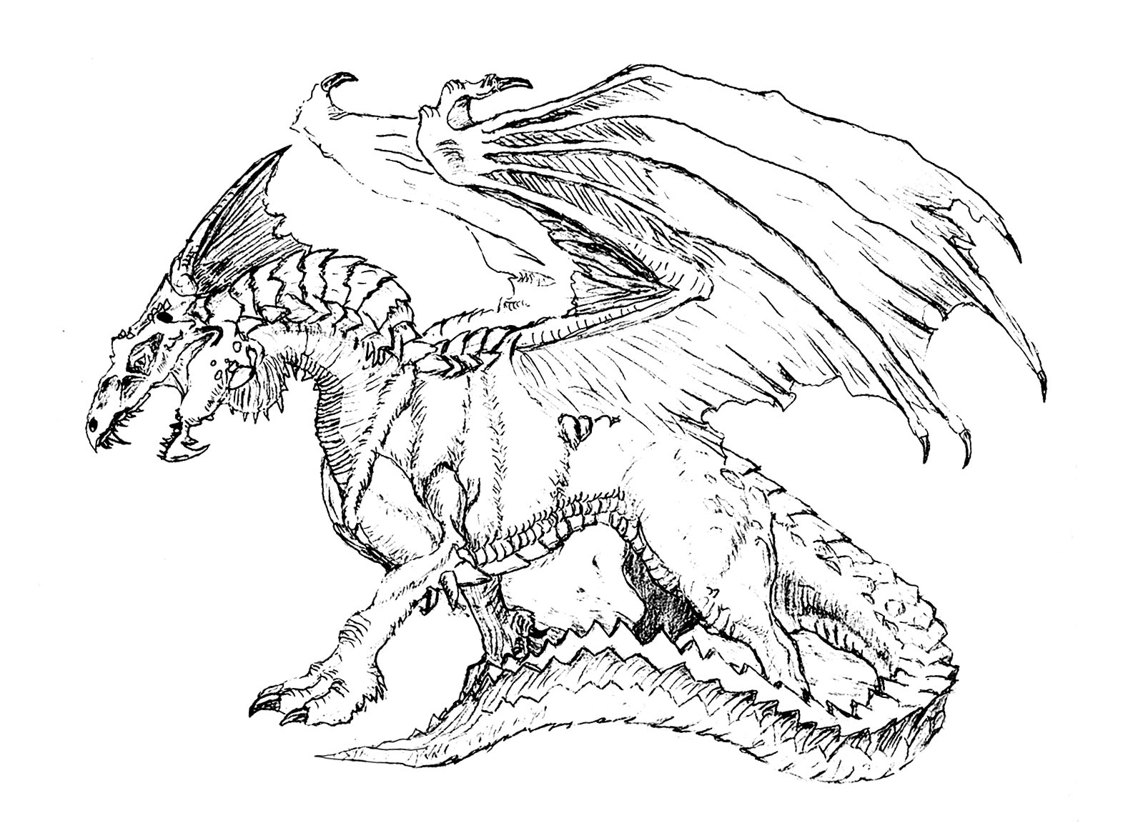 Dragon Coloring Pages for Adults Unique 17