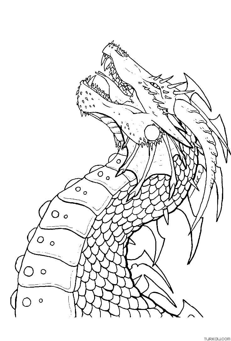 Dragon Coloring Pages for Adults Unique 70