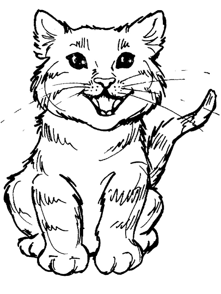 Kitten Coloring Pages Free Printable 121