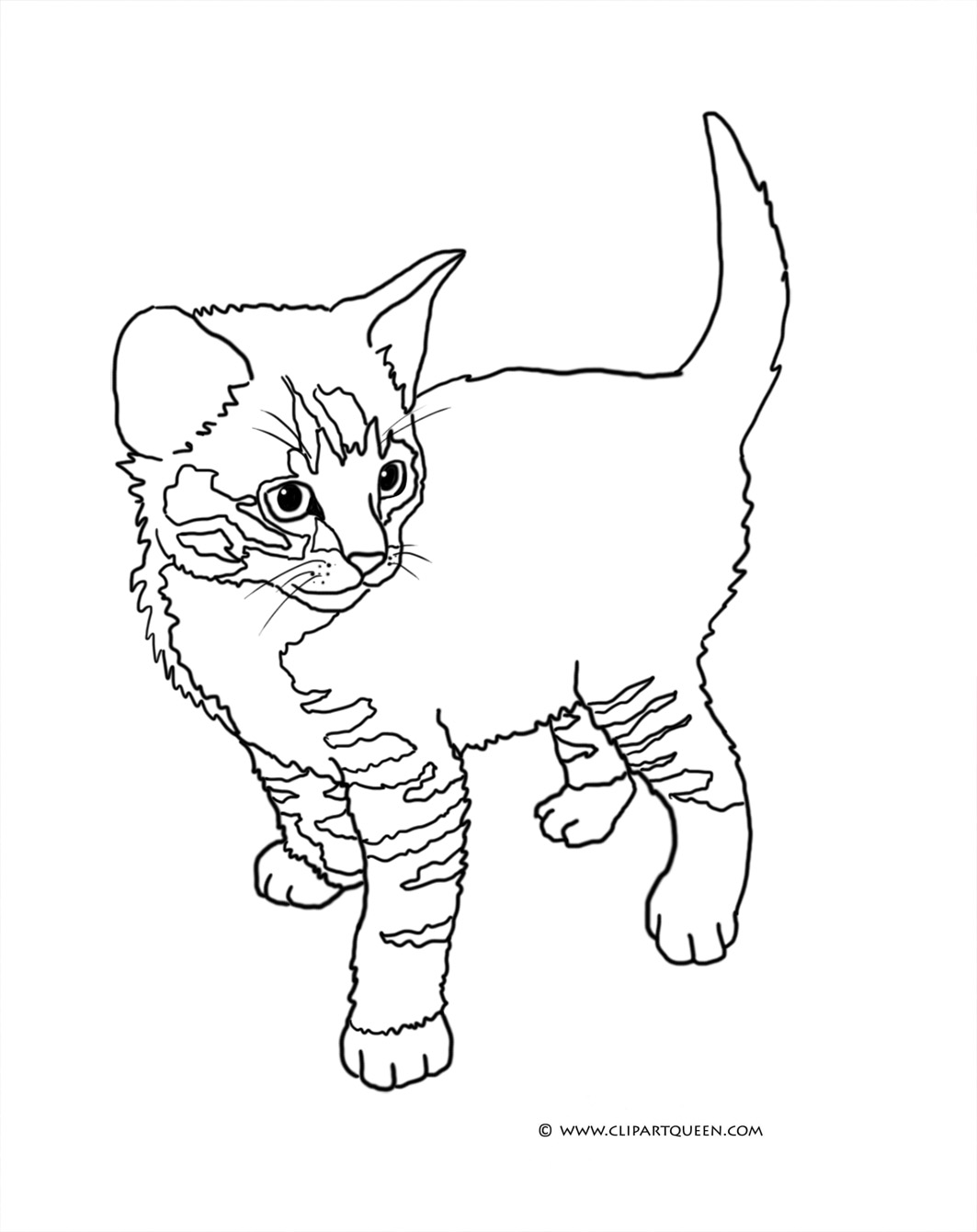 Kitten Coloring Pages Free Printable 71