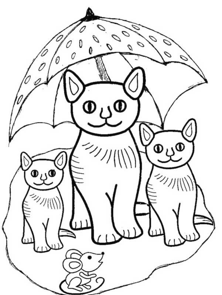 Kitten Coloring Pages Free Printable 72