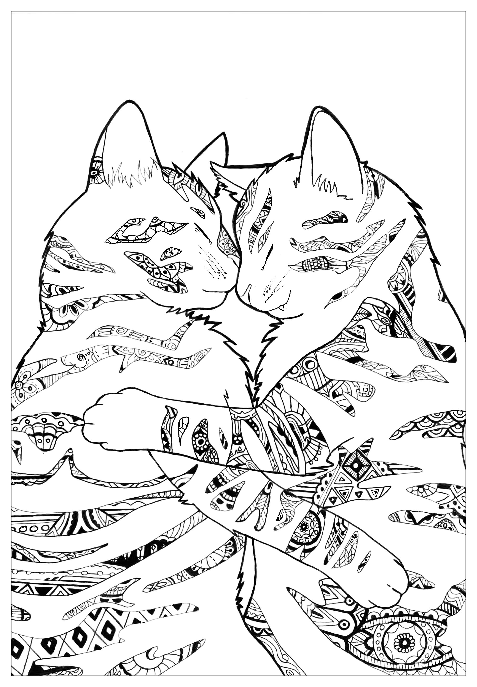 Kitten Coloring Pages Free Printable 73