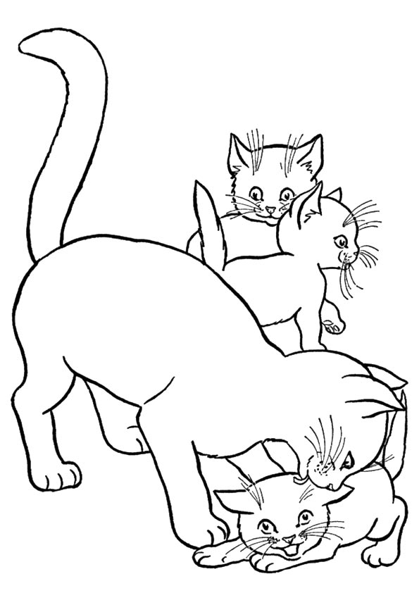 Kitten Coloring Pages Free Printable 75