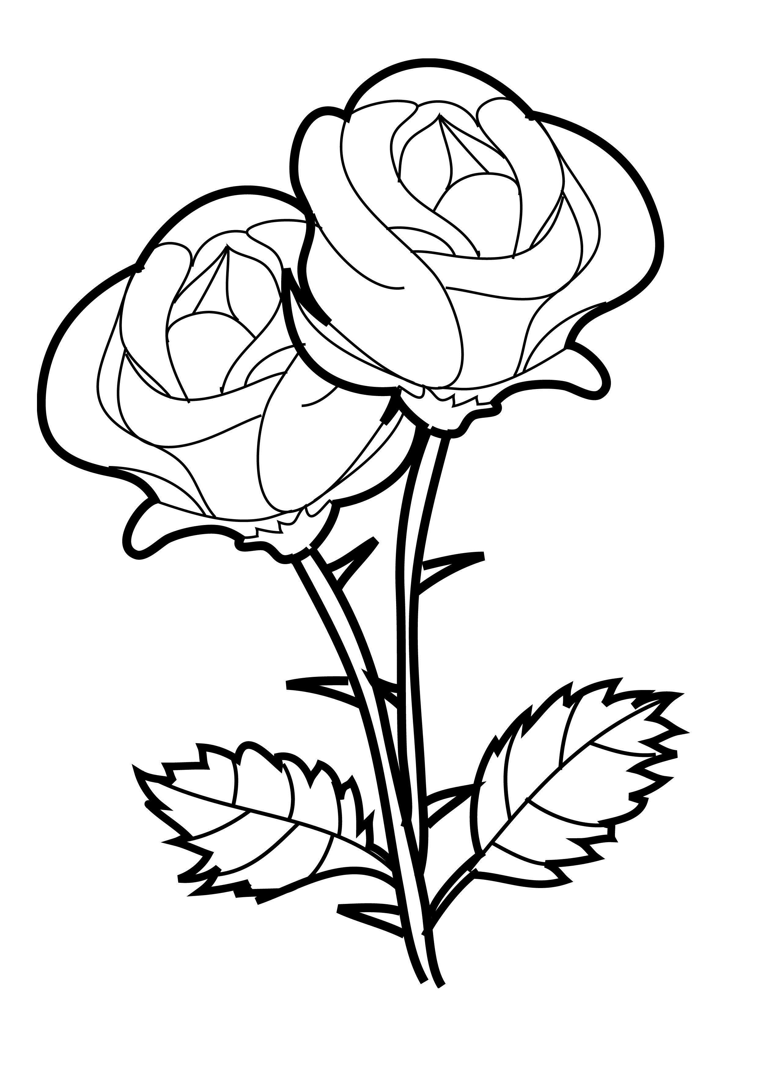 Rose Coloring Pages for Grown Ups Printables 1