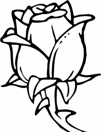 Rose Coloring Pages for Grown Ups Printables 10