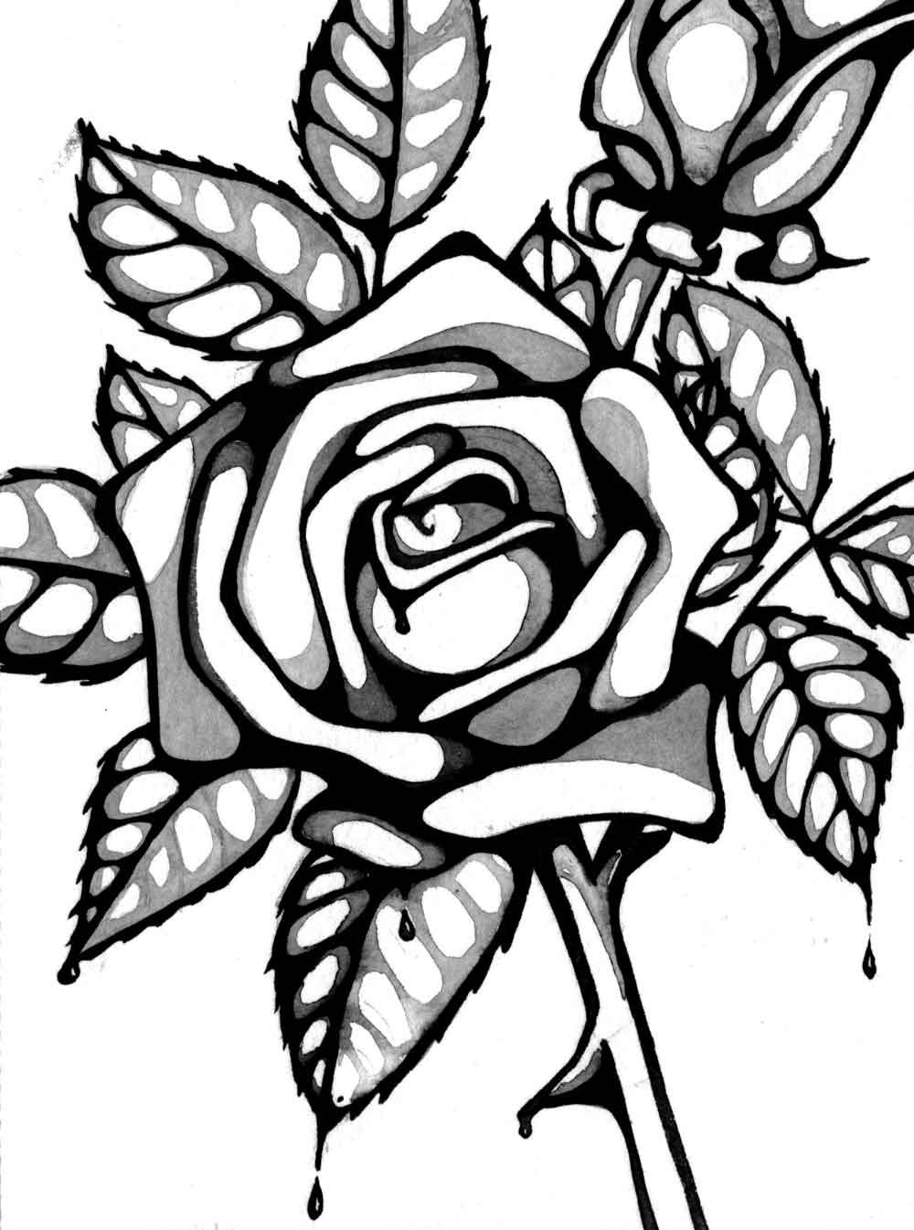 Rose Coloring Pages for Grown Ups Printables 12