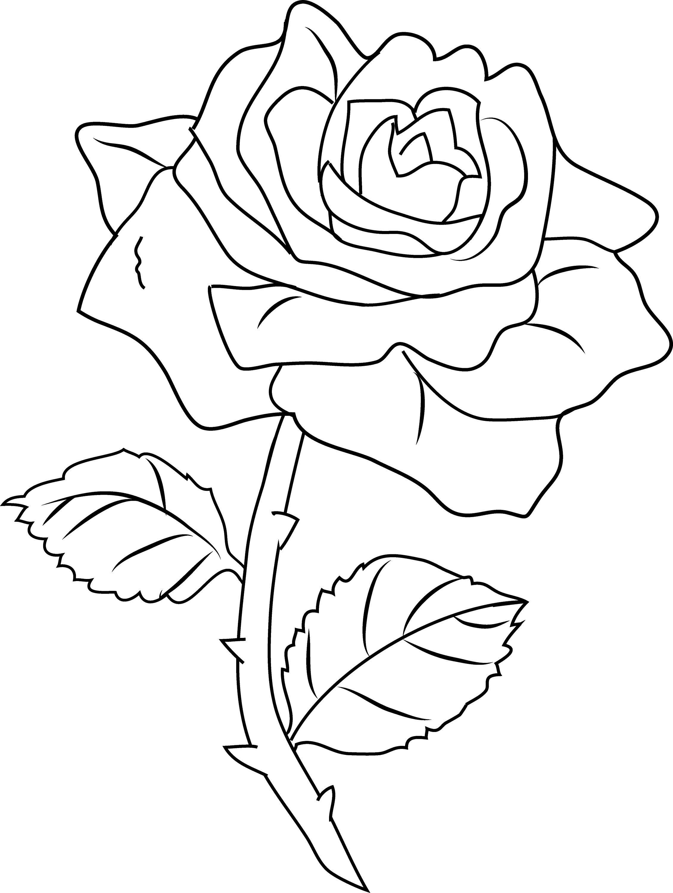 Rose Coloring Pages for Grown Ups Printables 13