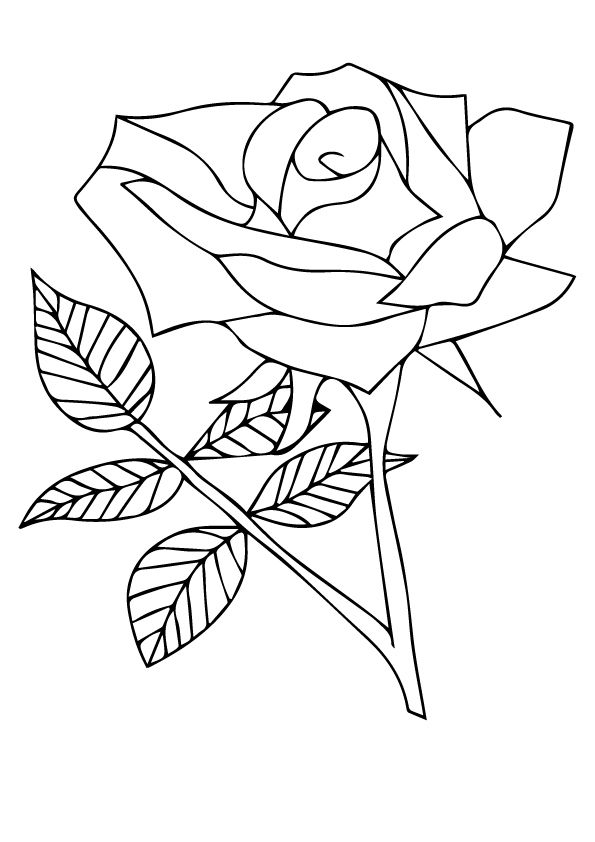 Rose Coloring Pages for Grown Ups Printables 30