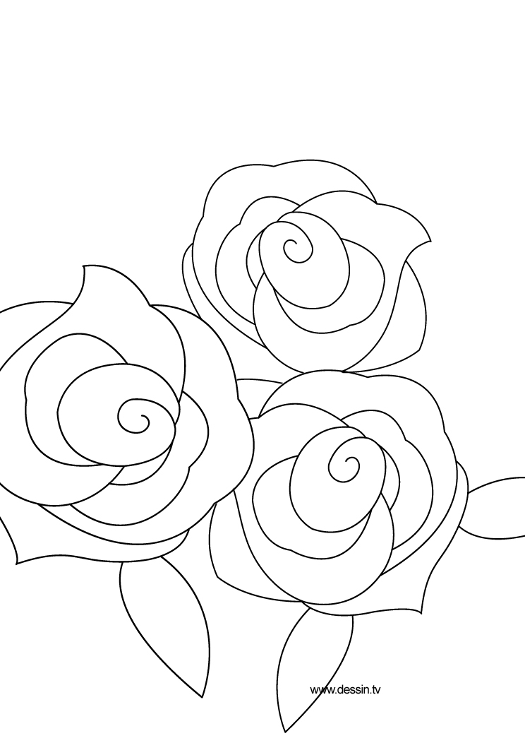 Rose Coloring Pages for Grown Ups Printables 31