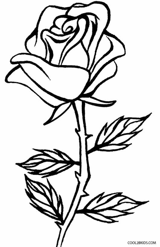 Rose Coloring Pages for Grown Ups Printables 4