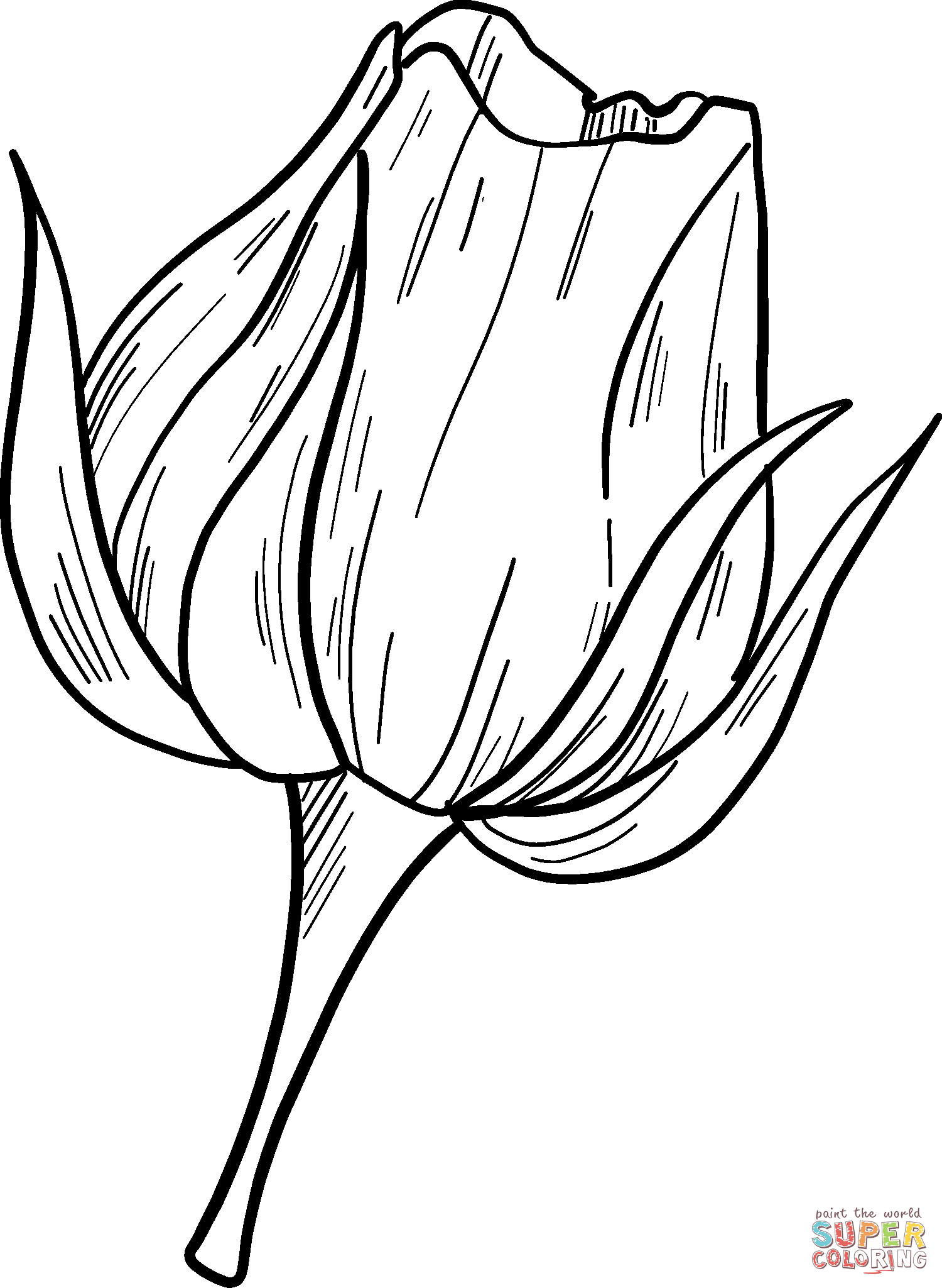 Rose Coloring Pages for Grown Ups Printables 47