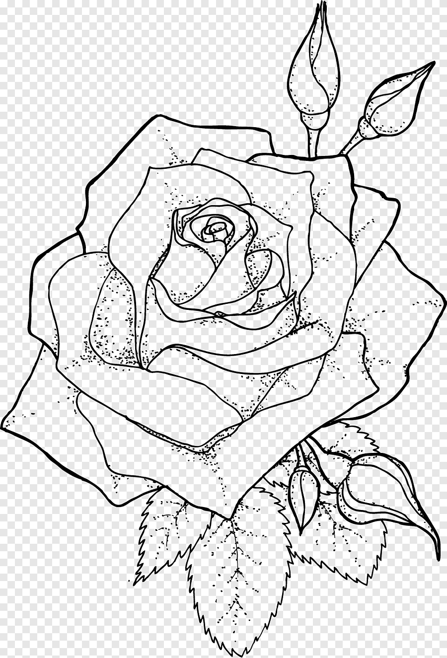 Rose Coloring Pages for Grown Ups Printables 5