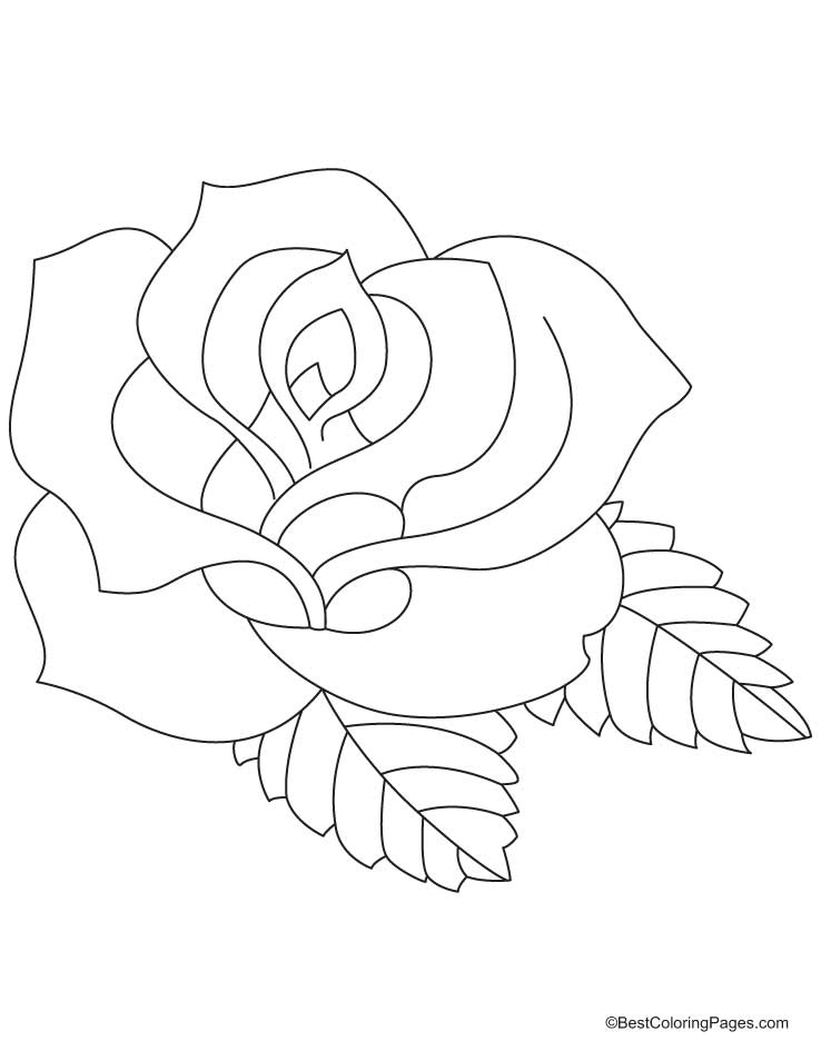 Rose Coloring Pages for Grown Ups Printables 88
