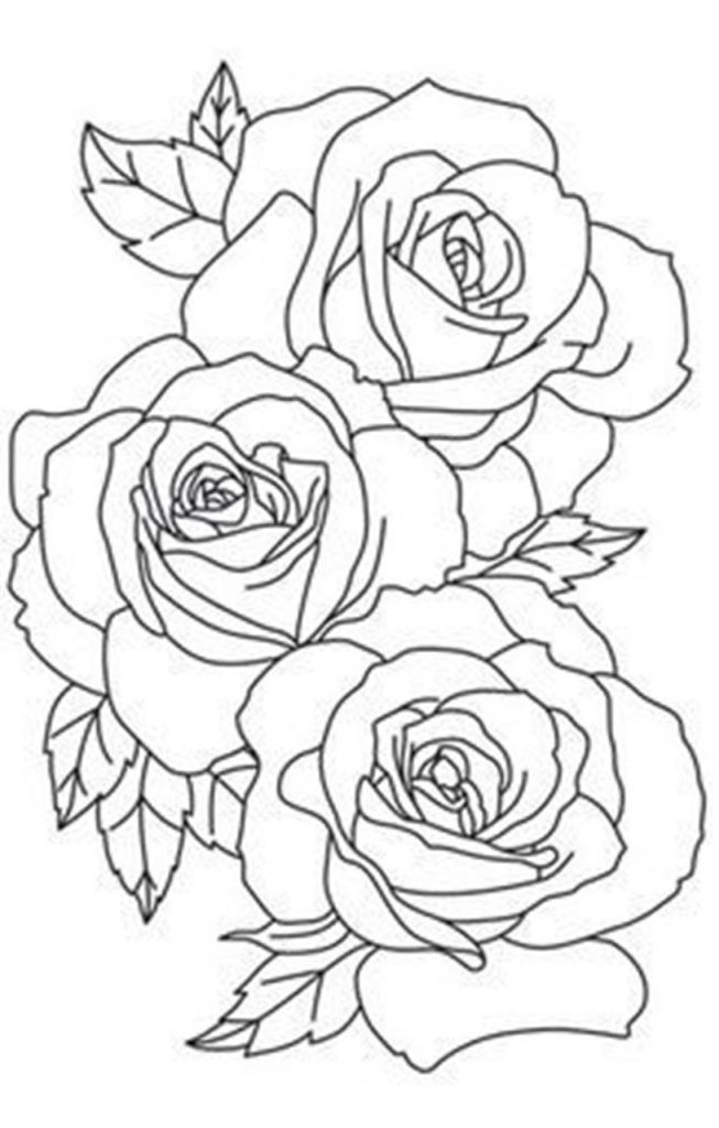 Rose Coloring Pages for Grown Ups Printables 9