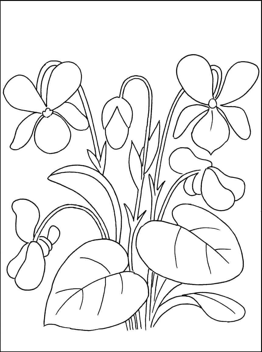 160+ Coloring Page Flowers: Blossom Your Imagination 106