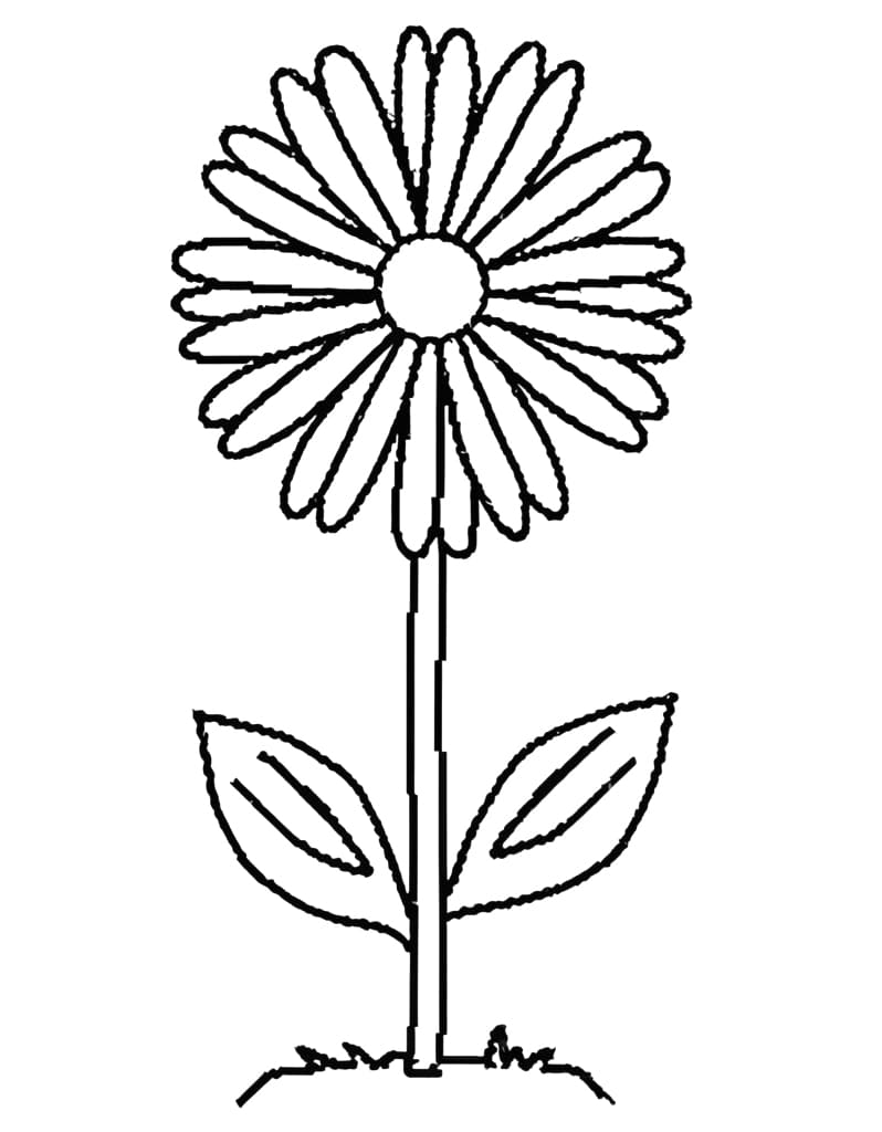 160+ Coloring Page Flowers: Blossom Your Imagination 122