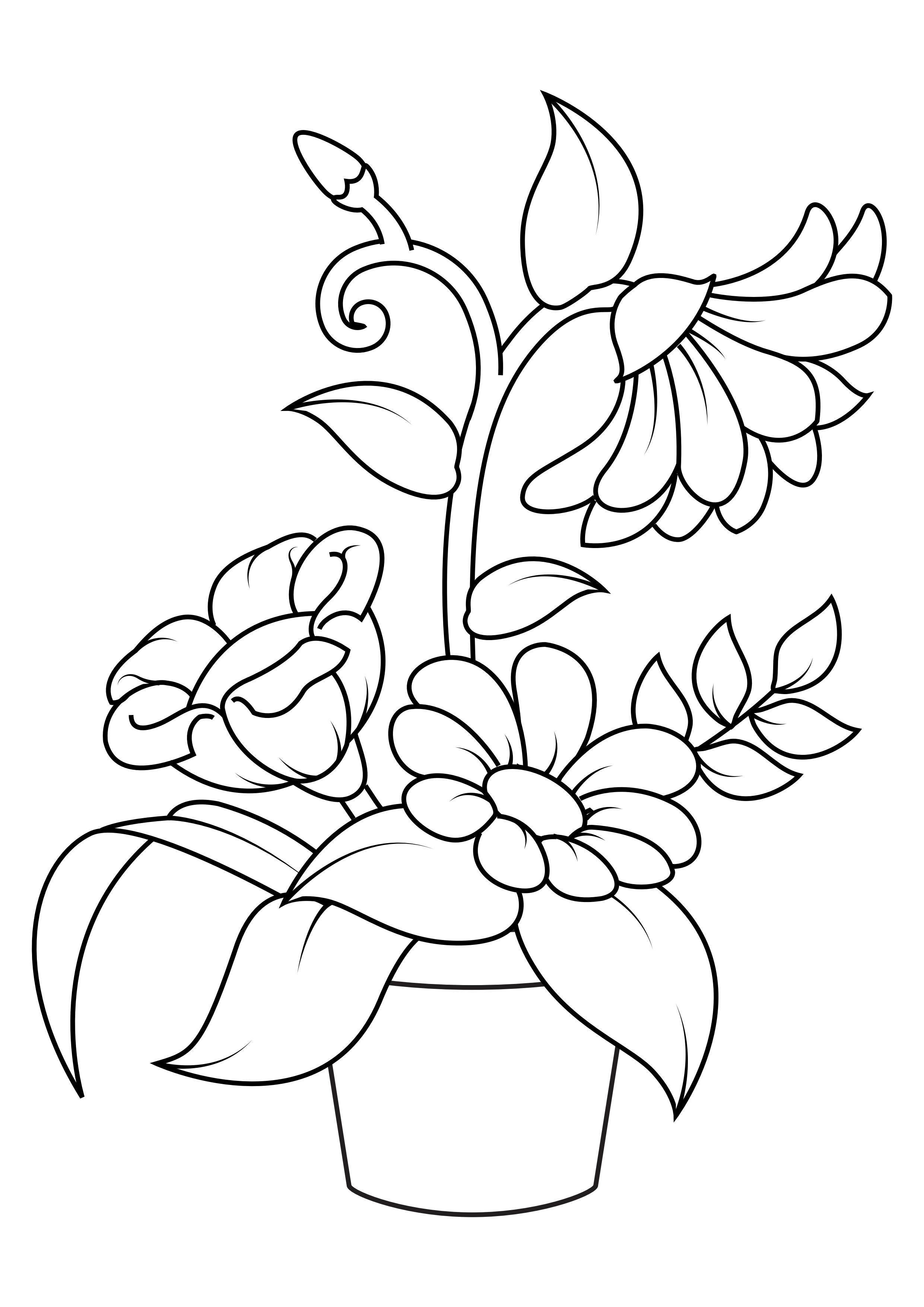 160+ Coloring Page Flowers: Blossom Your Imagination 2